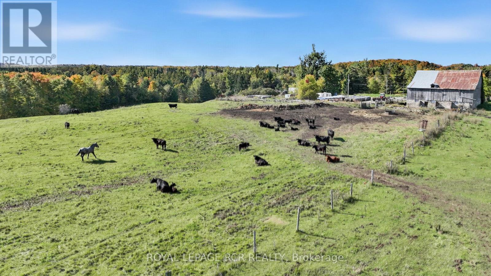 715689 1st Line, Mono, Ontario  L9V 1B1 - Photo 8 - X14007856