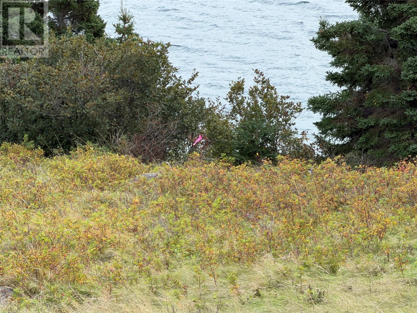263A Corporal Jamie Murphy Memorial Drive, Conception Harbour — photo 2