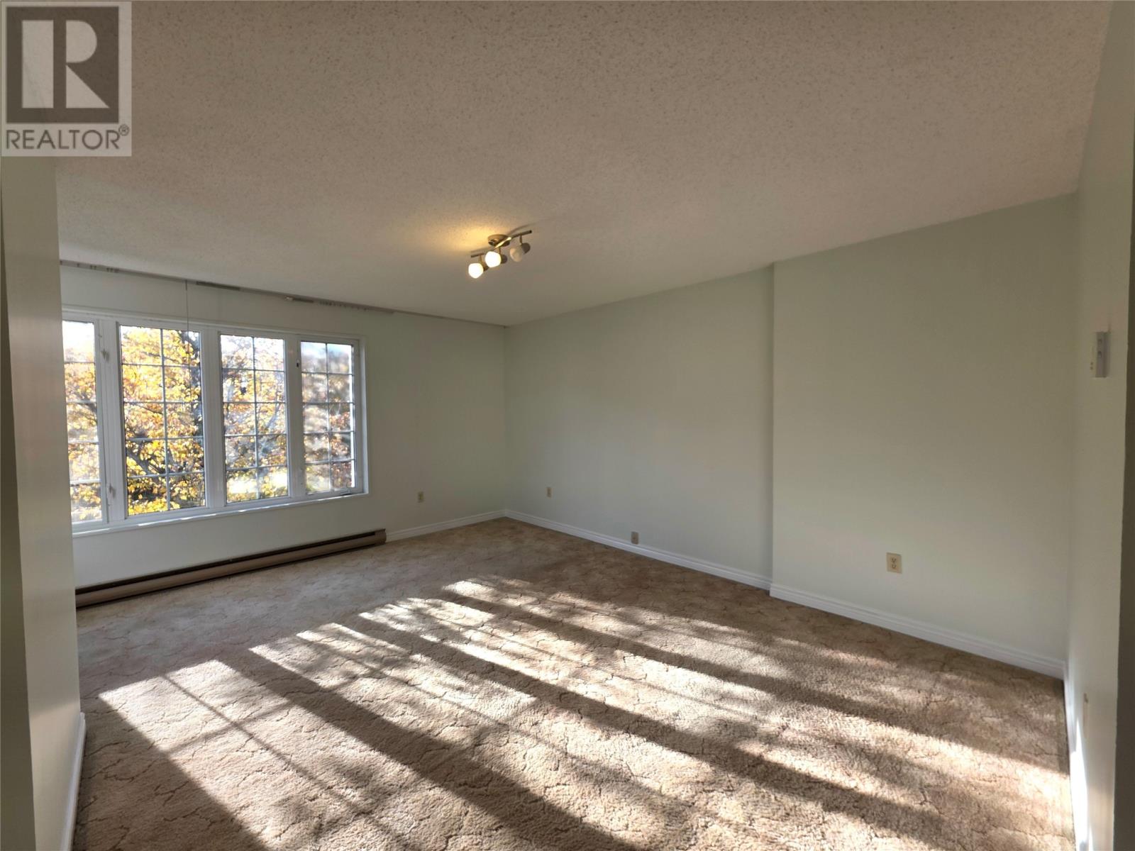 41 MacPherson Avenue, Corner Brook — photo 18