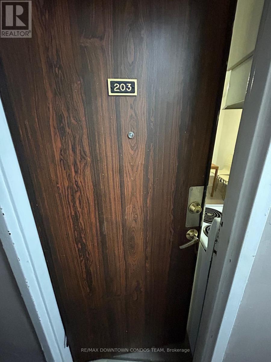 203 - 5 Thornburn Avenue, Toronto, Ontario  M6K 1C4 - Photo 4 - W14010042