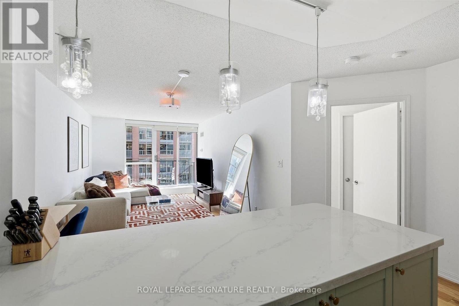 513 - 1000 King Street W, Toronto, Ontario  M6K 3N1 - Photo 17 - C14008968
