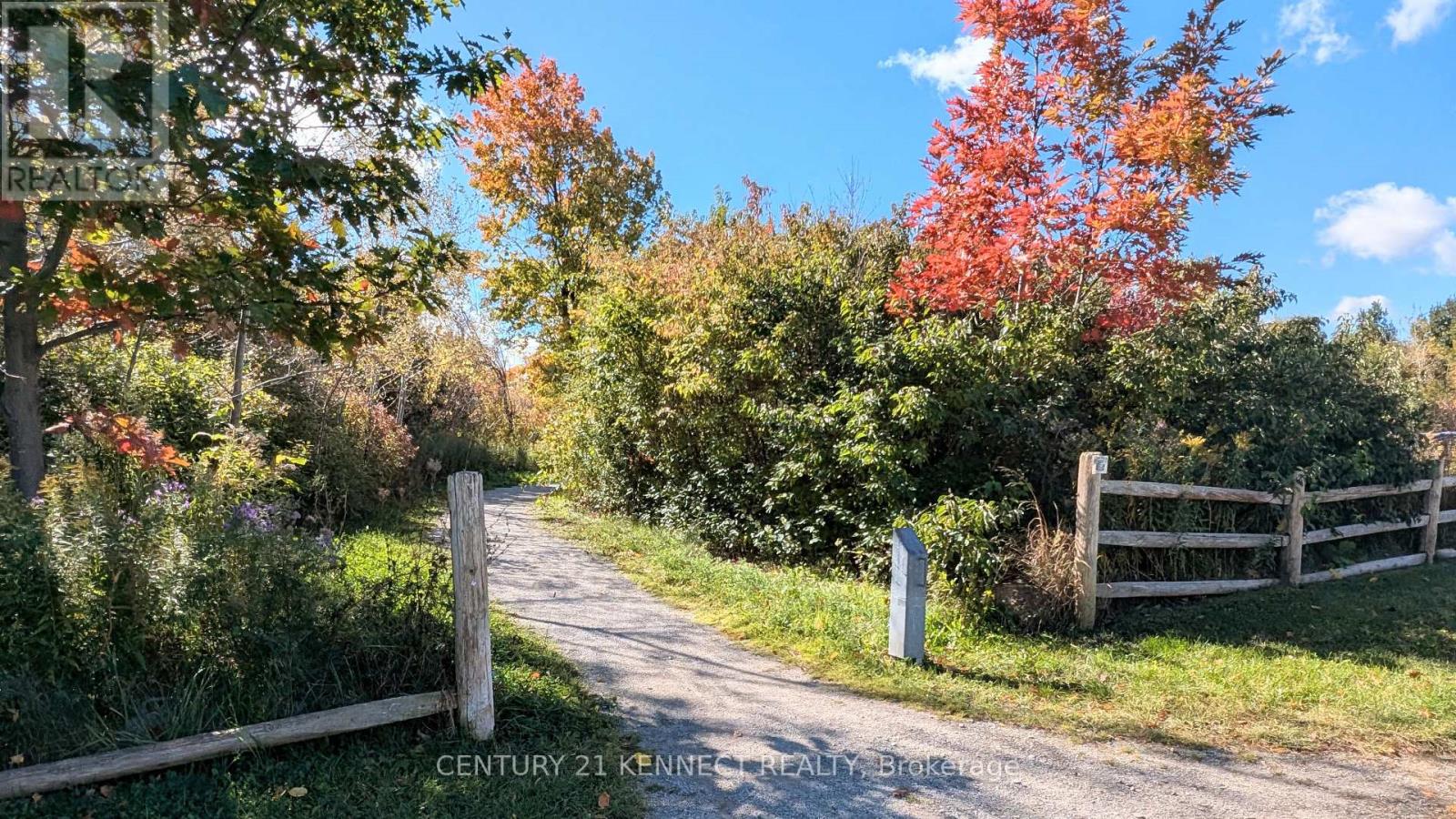 365 Old Colony Road, Richmond Hill, Ontario  L4E 5B2 - Photo 38 - N14020386