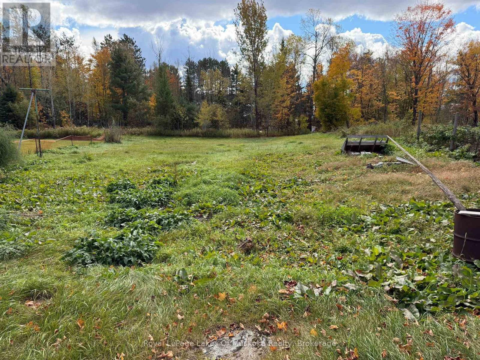 4673 518 Highway, Mcmurrich/monteith, Ontario  P0A 1Y0 - Photo 13 - X14022404
