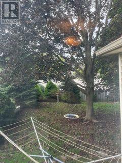 42 Harcourt Street, Port Hope, Ontario  L1A 1M4 - Photo 29 - X13568554