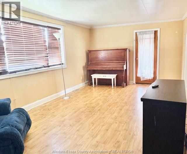 537 Broadway, Belle River, Ontario  N0R 1A0 - Photo 12 - 26025109