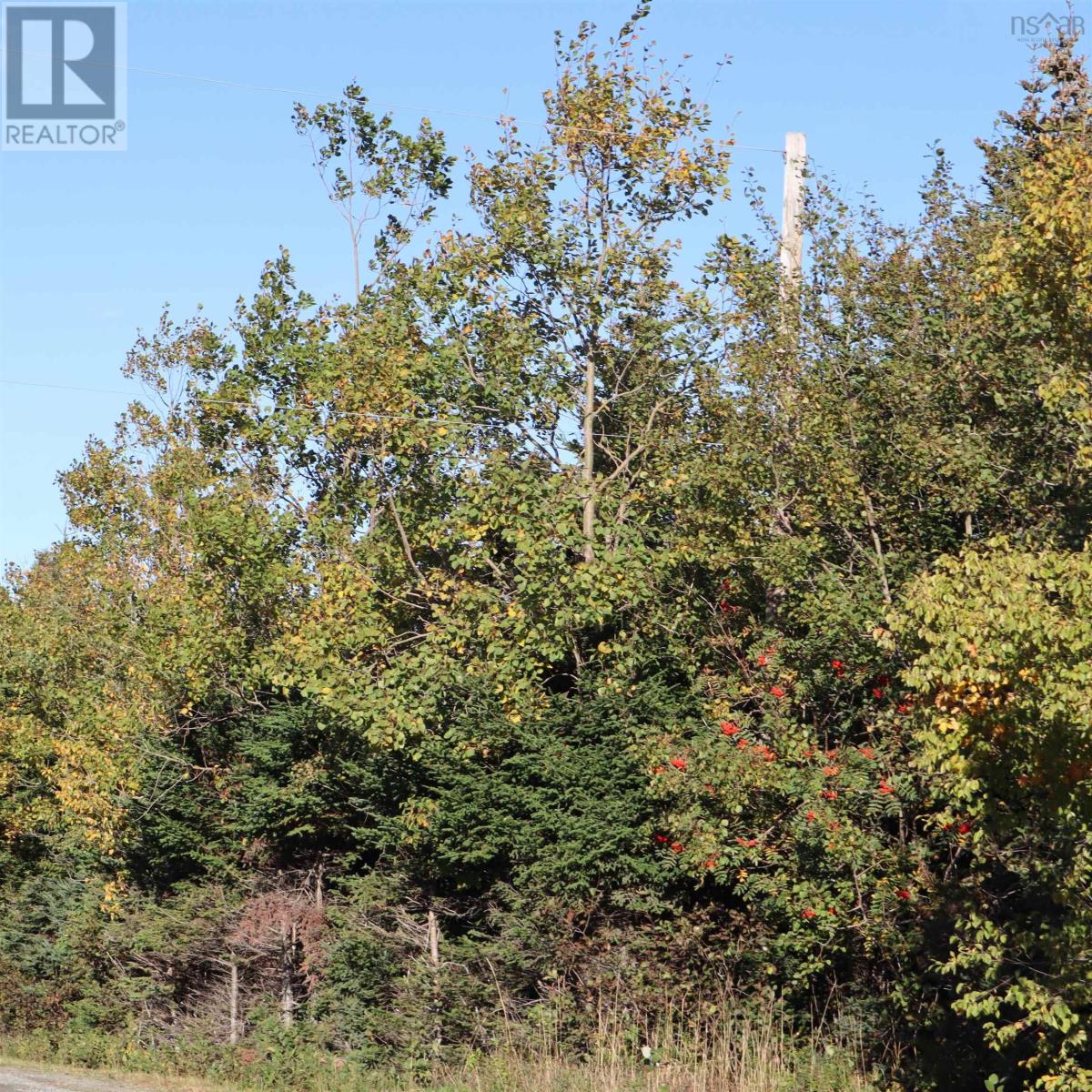 Lot 77 Nebooktook Walk, Clam Harbour, Nova Scotia  B0J 1Y0 - Photo 13 - 202624832