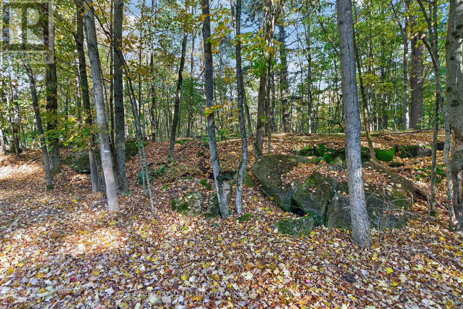 0 Sherwood Springs Road, Front Of Yonge, Ontario  K0E 1R0 - Photo 8 - X14027434