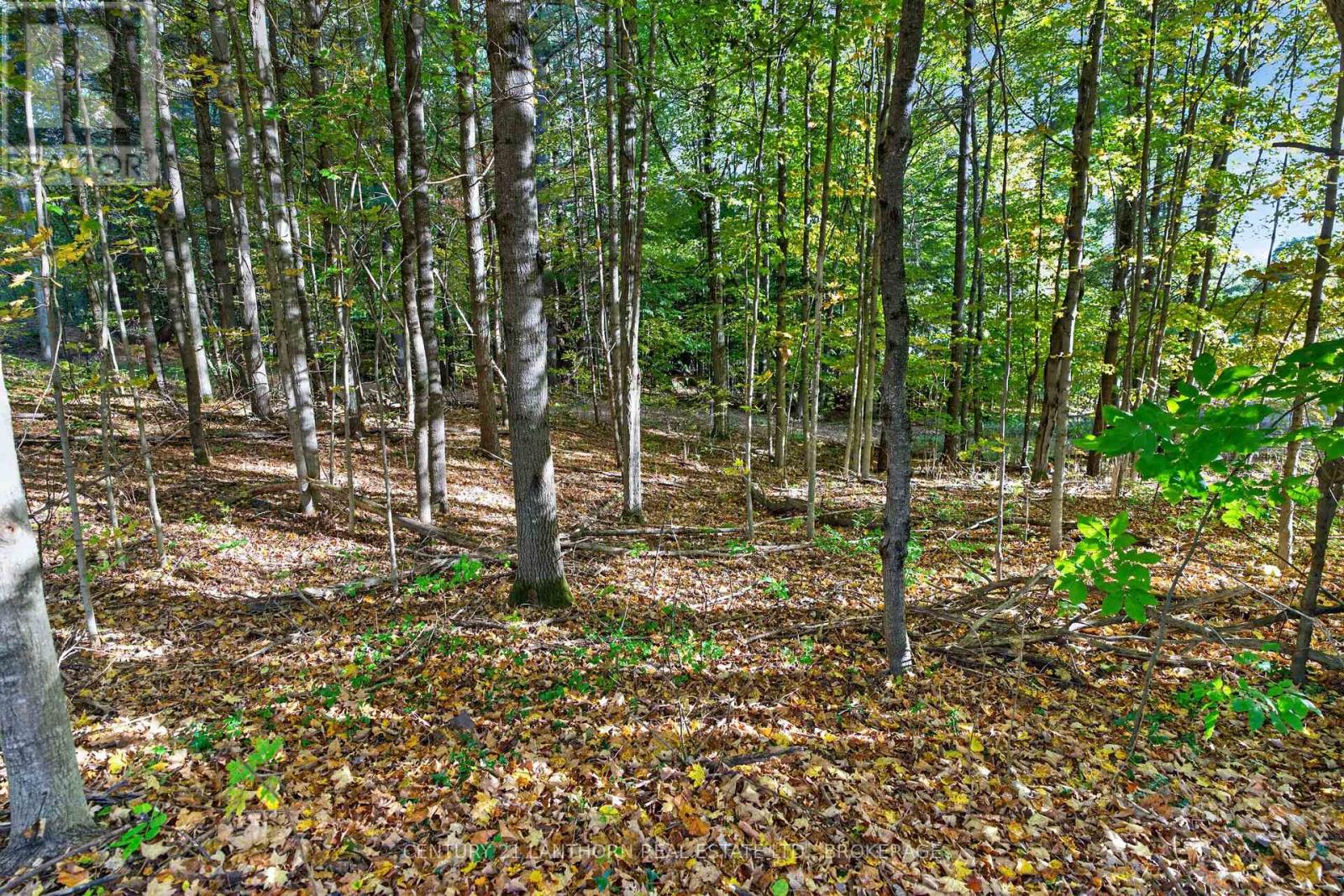 0 Sherwood Springs Road, Front Of Yonge, Ontario  K0E 1R0 - Photo 17 - X14027438