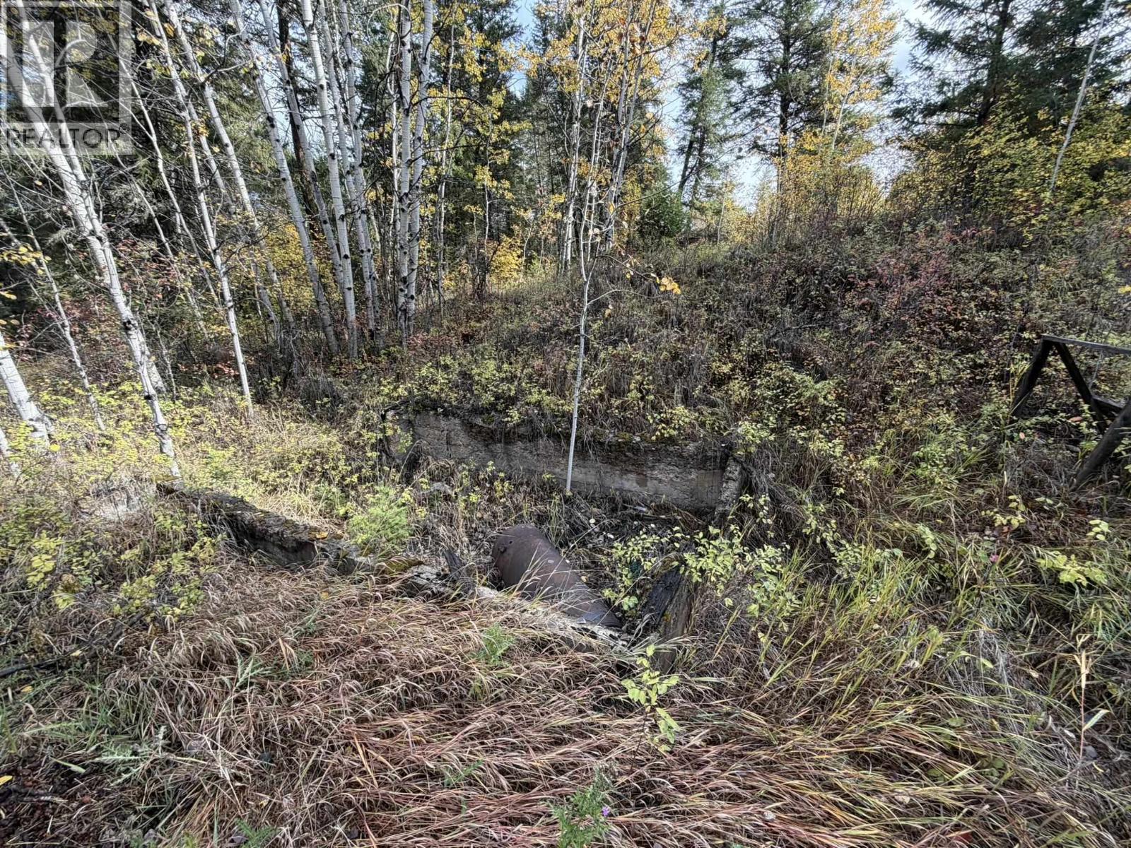 1401 Paxton Road, Williams Lake, British Columbia  V2G 3G2 - Photo 10 - R3174635