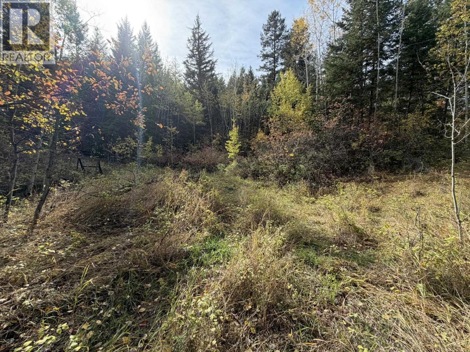 1401 Paxton Road, Williams Lake, British Columbia  V2G 3G2 - Photo 11 - R3174635