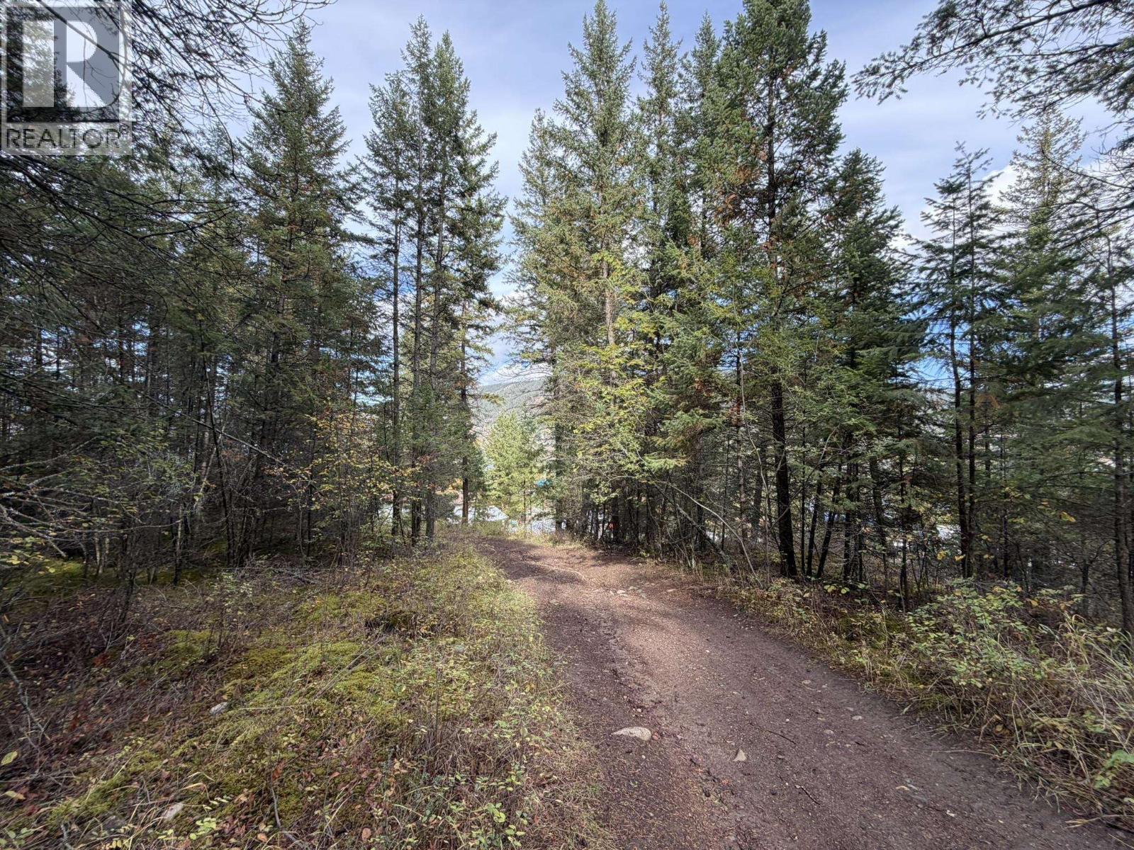 1401 Paxton Road, Williams Lake, British Columbia  V2G 3G2 - Photo 4 - R3174635