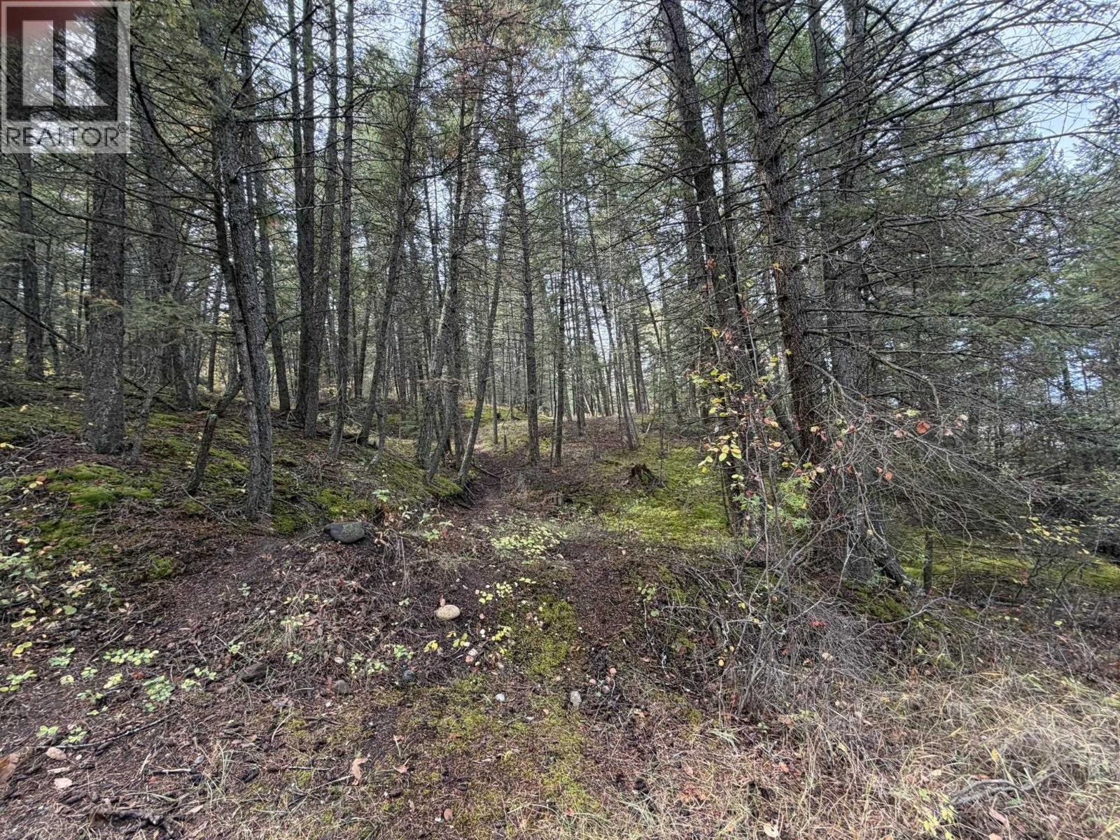 1401 Paxton Road, Williams Lake, British Columbia  V2G 3G2 - Photo 5 - R3174635