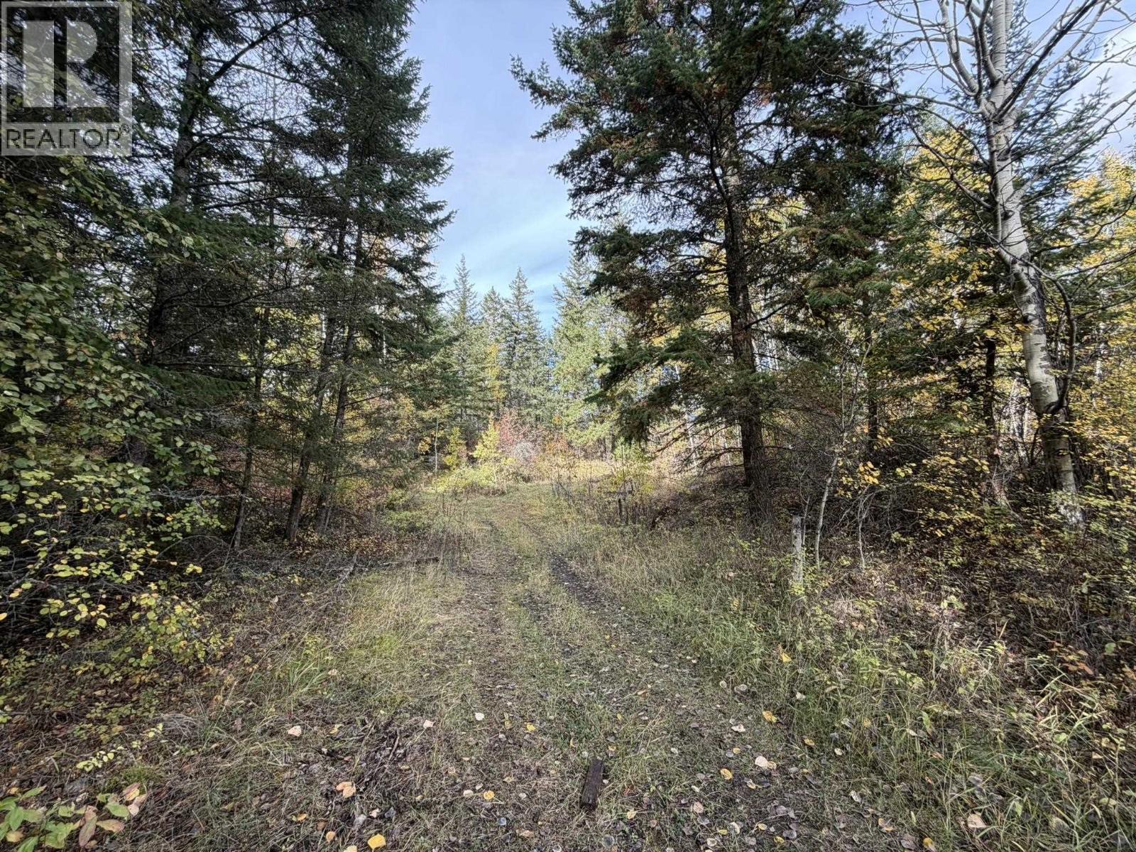 1401 Paxton Road, Williams Lake, British Columbia  V2G 3G2 - Photo 9 - R3174635