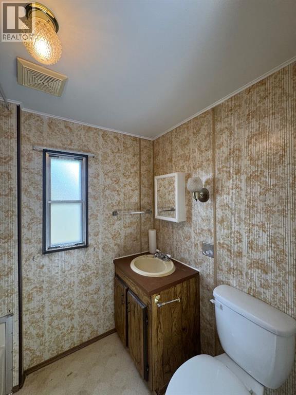 4814 59 Street, Killam, Alberta  T0B 2L0 - Photo 26 - A2348940