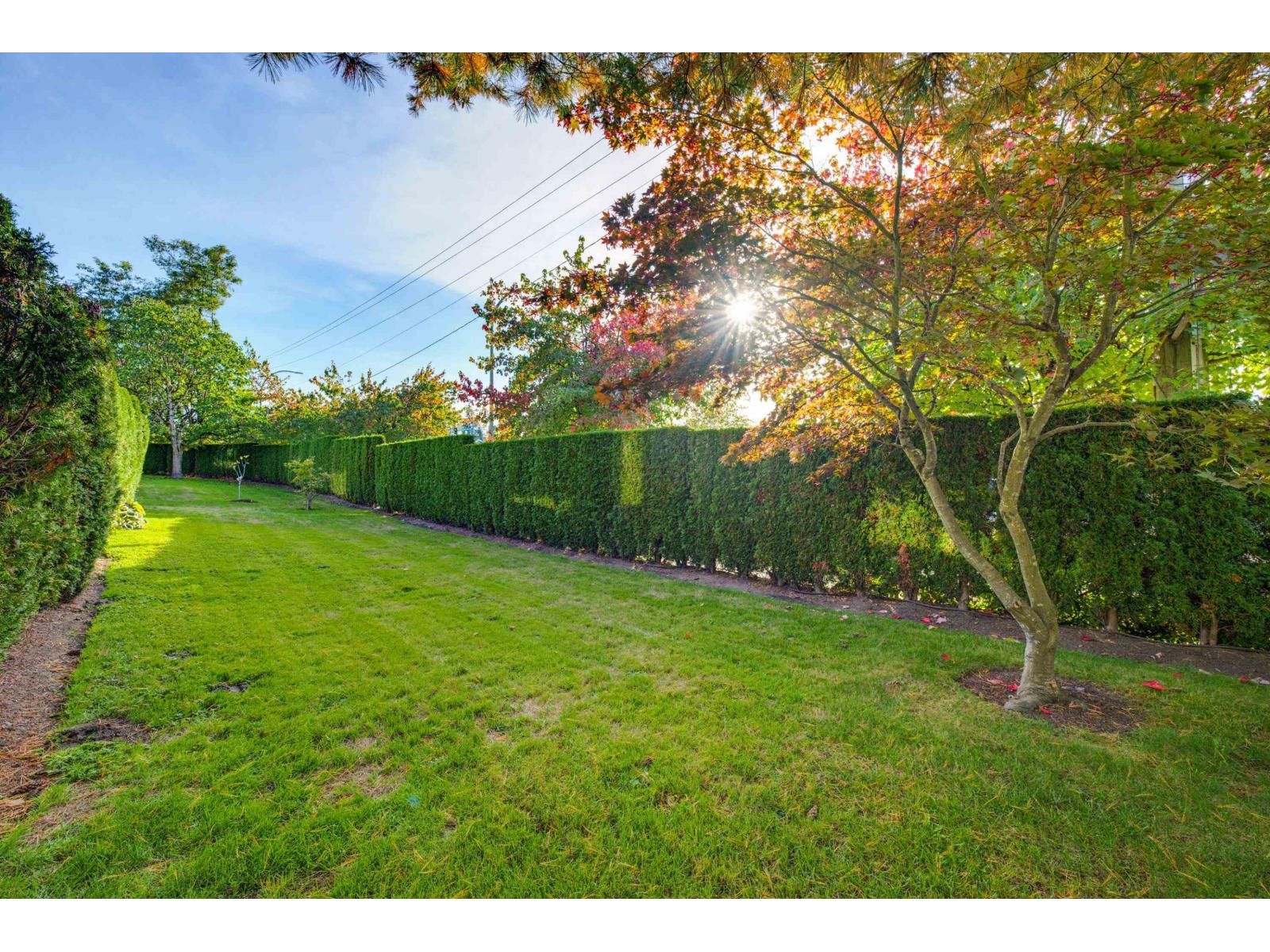1 20881 87 Avenue, Langley, British Columbia  V1M 3X1 - Photo 36 - R3174553