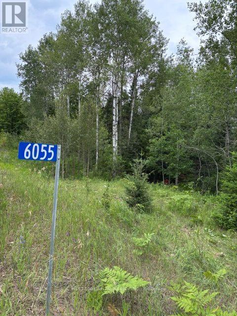 6055 Hwy 620, Wollaston, Ontario K0L 1P0 - Photo 7 - X14027436