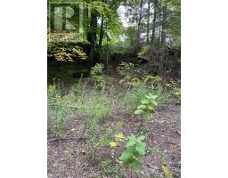 6055 HWY 620, Wollaston, Ontario
