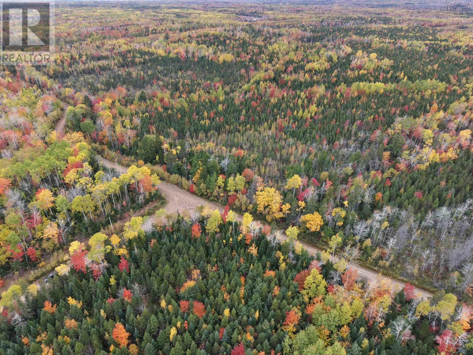 100 Acres Mitchell Swan Road, Millbrook, Nova Scotia  B0K 1V0 - Photo 3 - 202625767