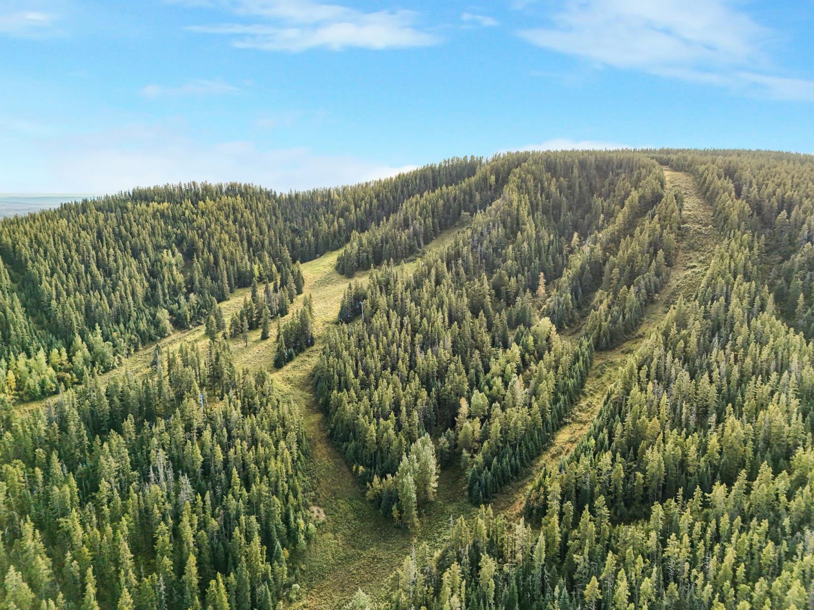 Silver Summit Road