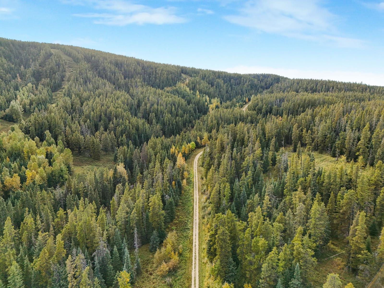 Silver Summit Road