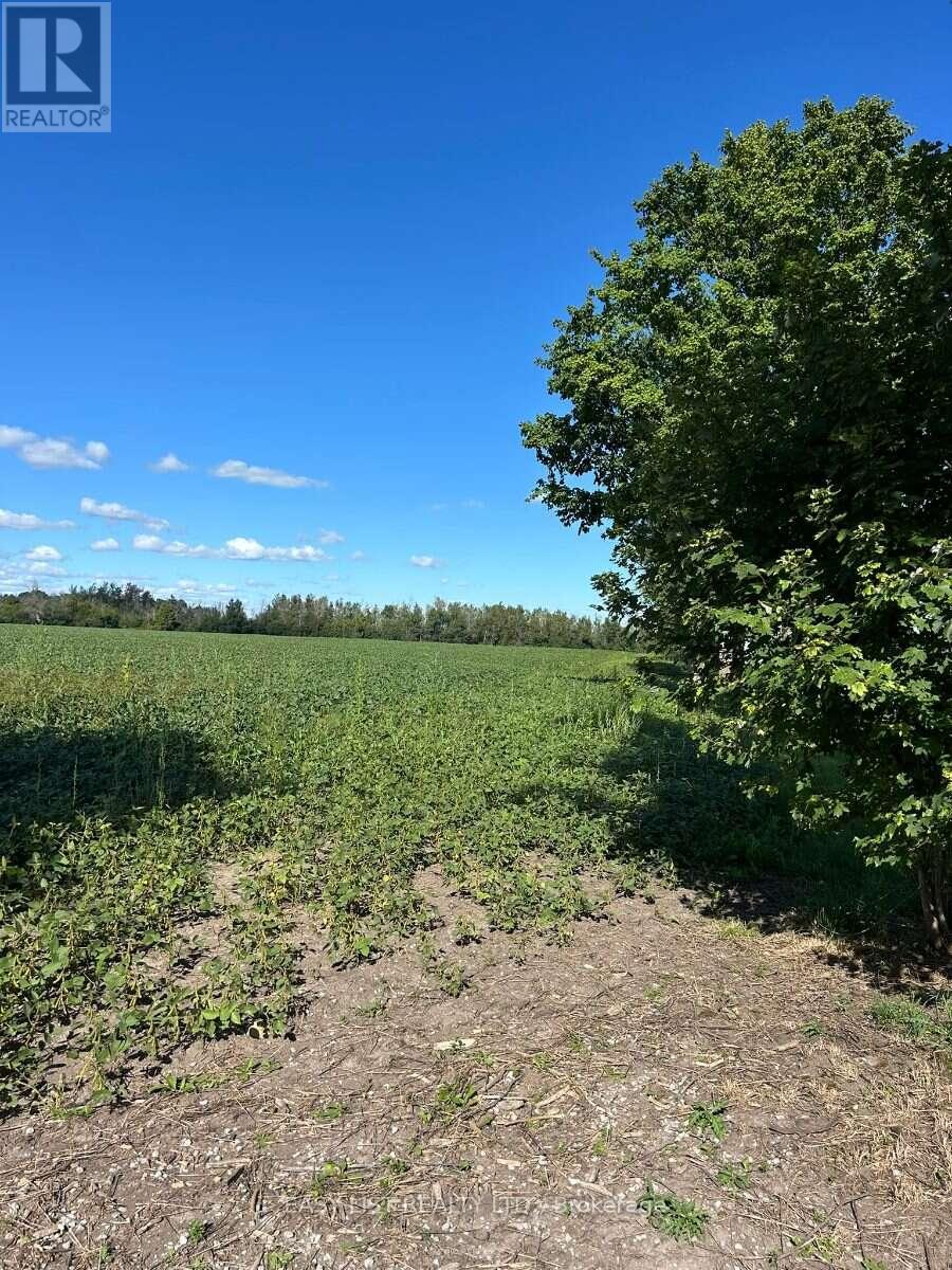 624 Hillhead Road, Kawartha Lakes, Ontario  K0L 2X0 - Photo 12 - X13756896