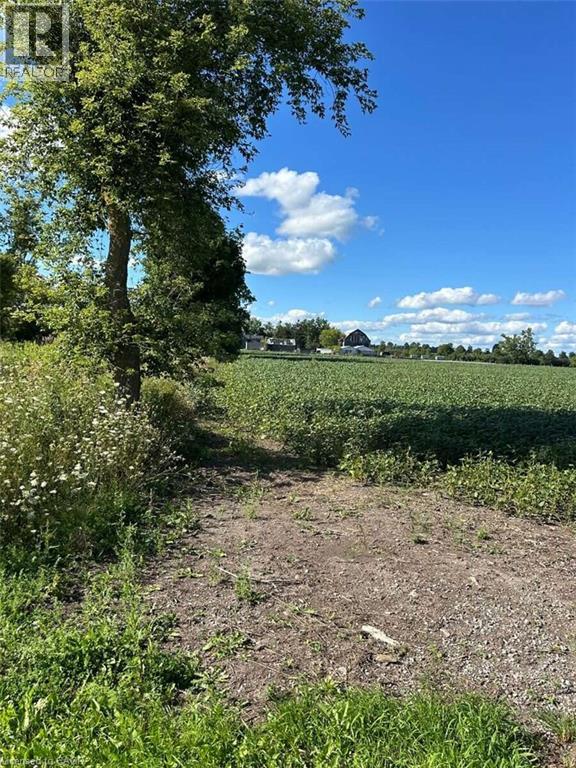 624 Hillhead Road, Lindsay, Ontario  K0L 2X0 - Photo 11 - 40861514