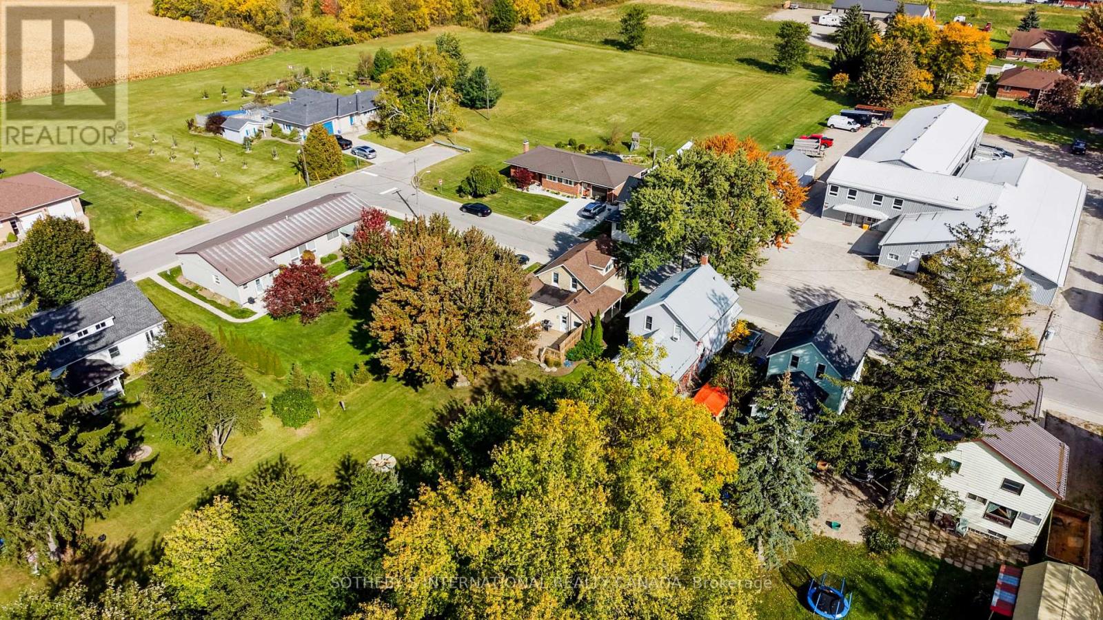 115 John Street, East Zorra-Tavistock, Ontario  N0B 2R0 - Photo 4 - X14027818