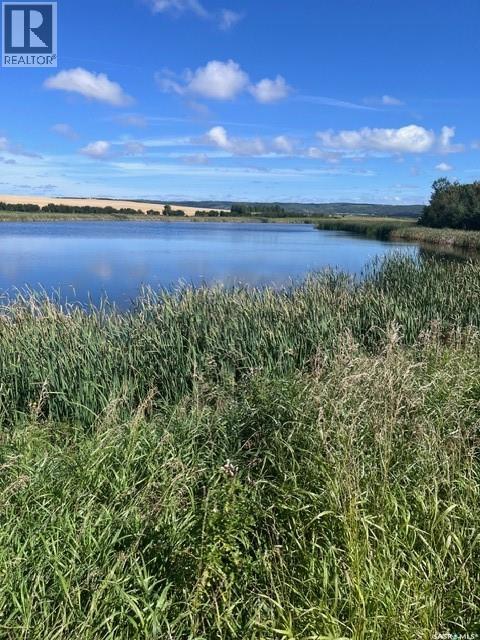 Sully Lot, Cote Rm No. 271, Saskatchewan  S0A 1S0 - Photo 8 - SK050926