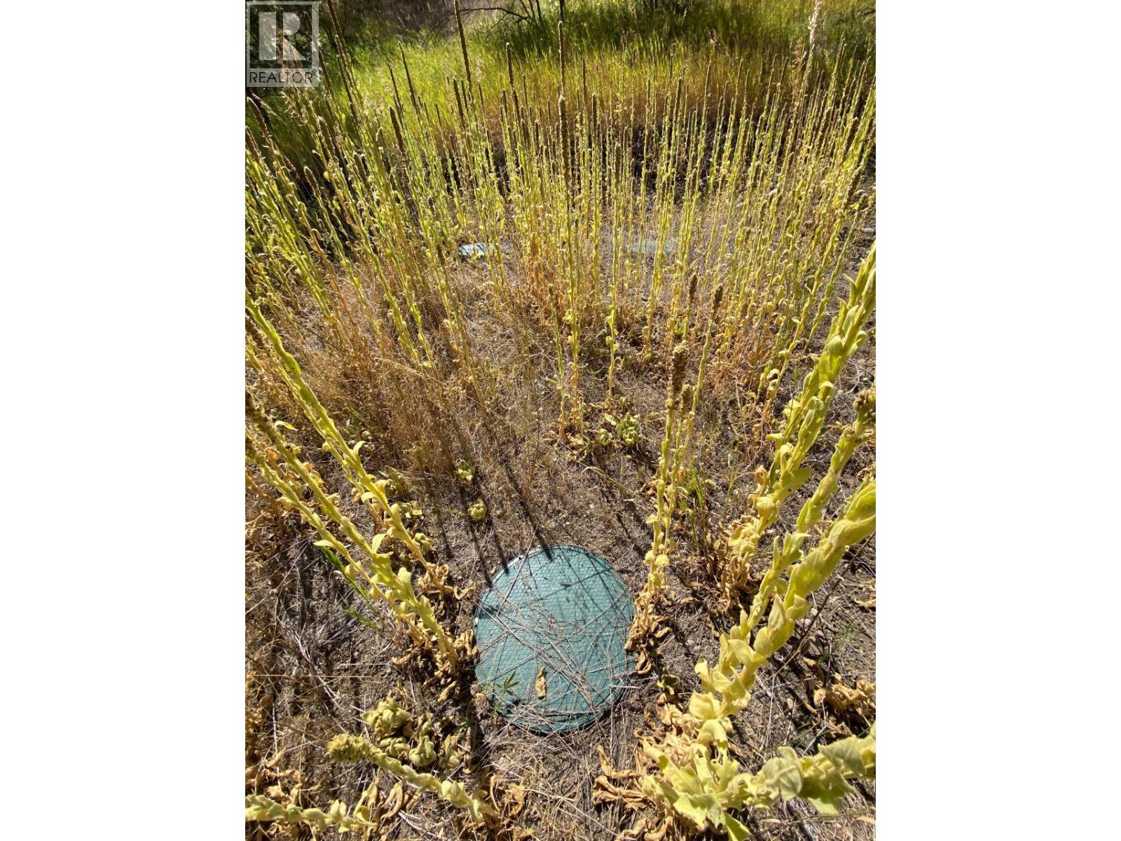 Lot 2 41 Highway, Grand Forks, British Columbia  V0H 1H5 - Photo 5 - 2475560