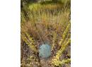 Lot 2 41 Highway, Grand Forks, BC V0H 1H5