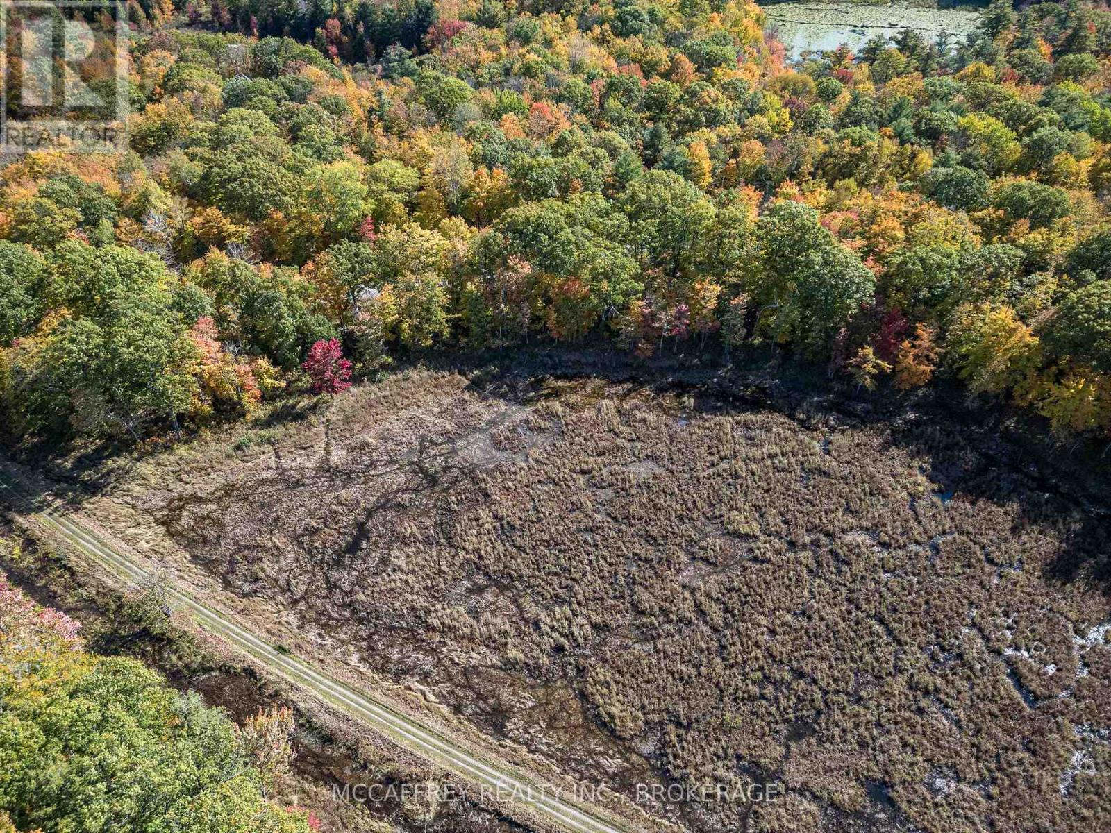 0 Clear Lake Road, Rideau Lakes, Ontario  K0G 1E0 - Photo 14 - X14028826