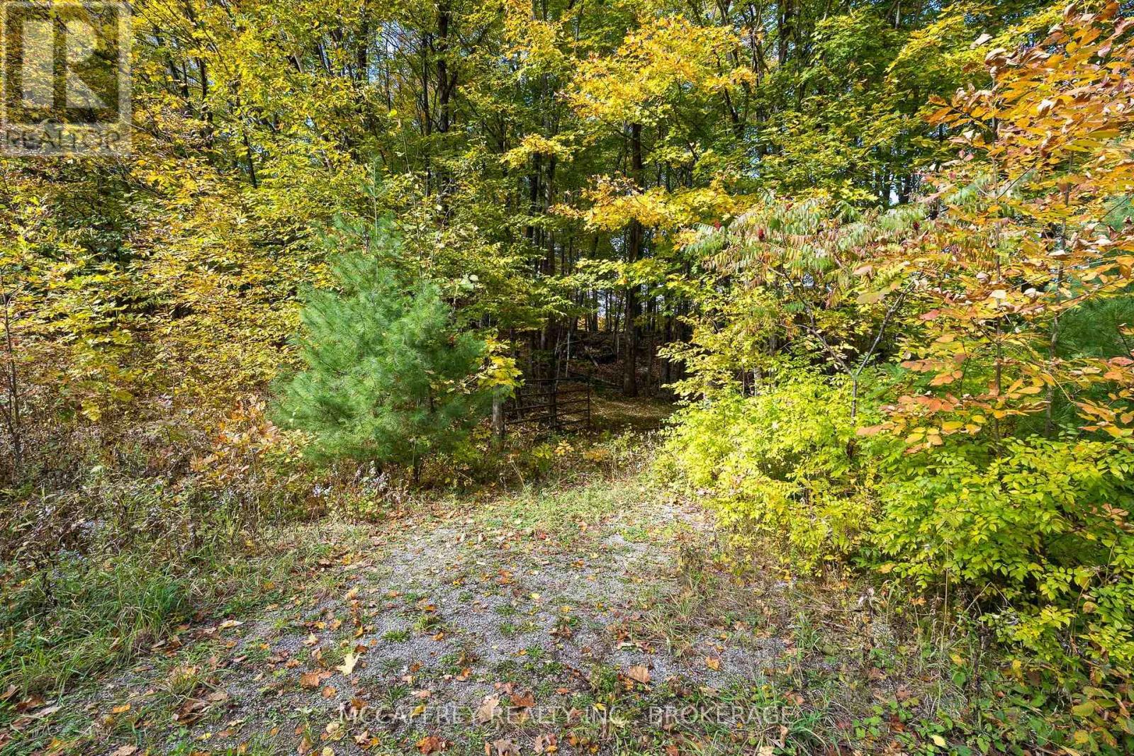 0 Clear Lake Road, Rideau Lakes, Ontario  K0G 1E0 - Photo 28 - X14028826