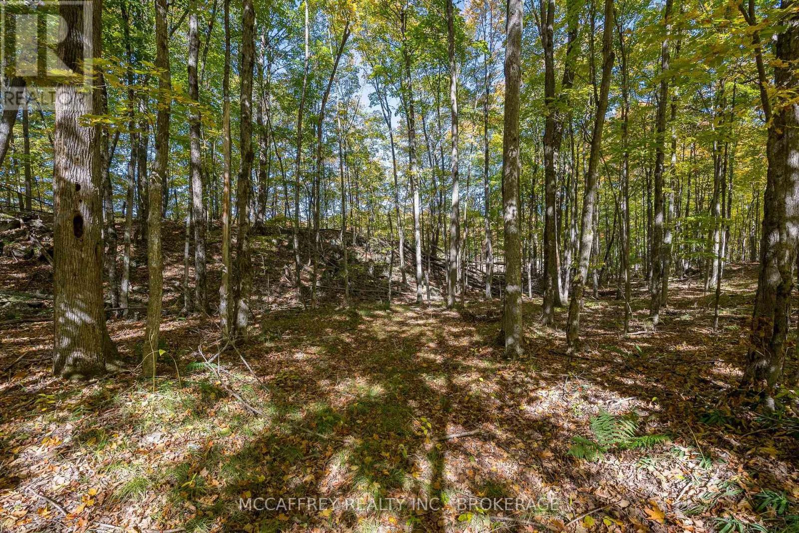 0 Clear Lake Road, Rideau Lakes, Ontario  K0G 1E0 - Photo 31 - X14028826