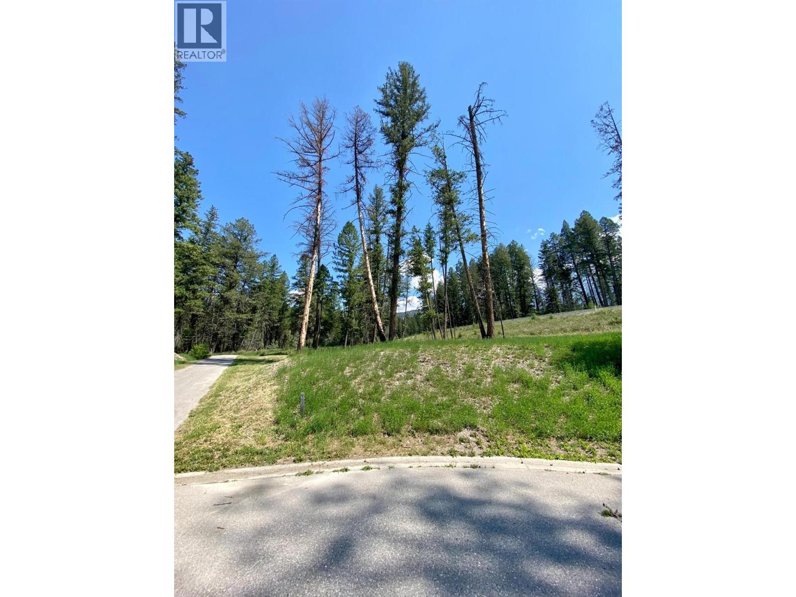 Lot 17 Eaglebrook Court, Fairmont Hot Springs, British Columbia  V0B 1L1 - Photo 2 - 10366415