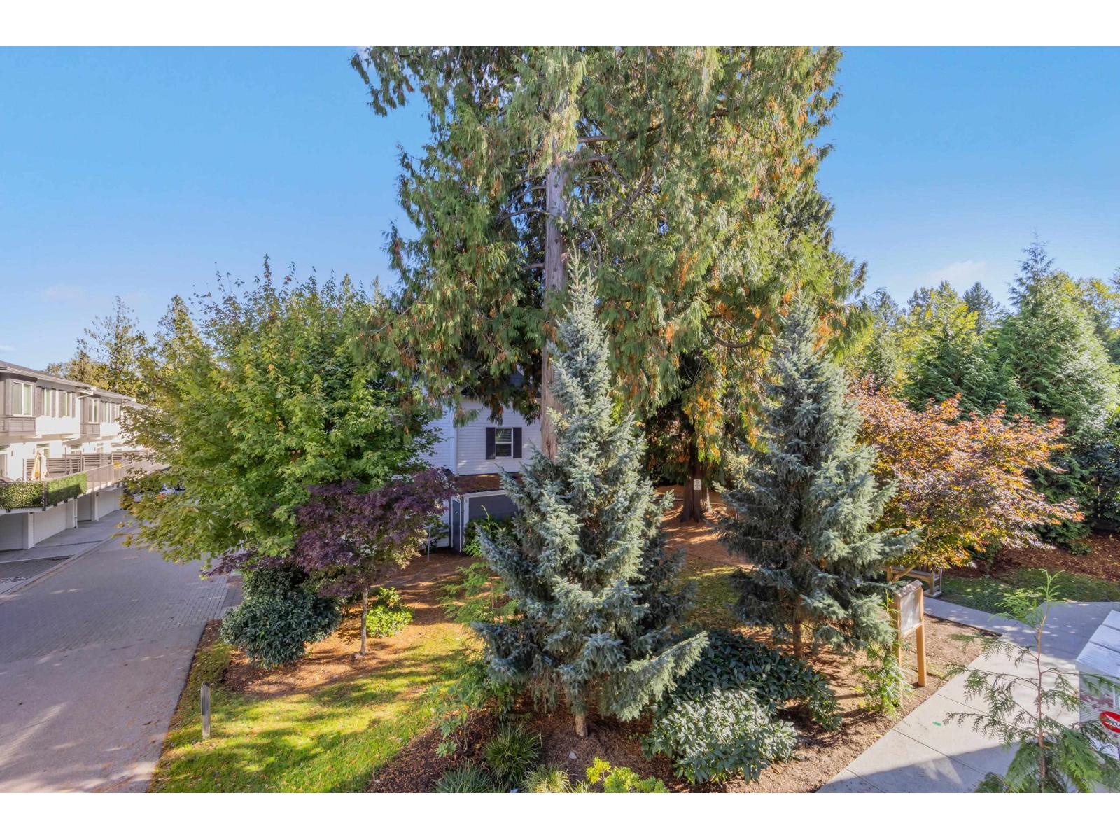 113 8130 136a Street, Surrey, British Columbia  V3W 1H9 - Photo 34 - R3174867