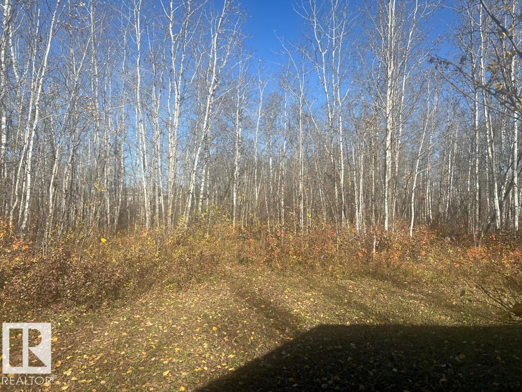 36 50408 RGE RD 203