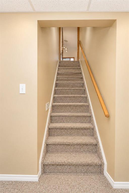 3 Alanmore Court, Winnipeg, Manitoba R3T 5X3 - Photo 20 - 202624541
