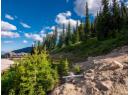 244 Creekview Road Lot# 1, Apex Mountain, BC V0X 1K0
