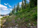 244 Creekview Road Lot# 1, Apex Mountain, BC V0X 1K0