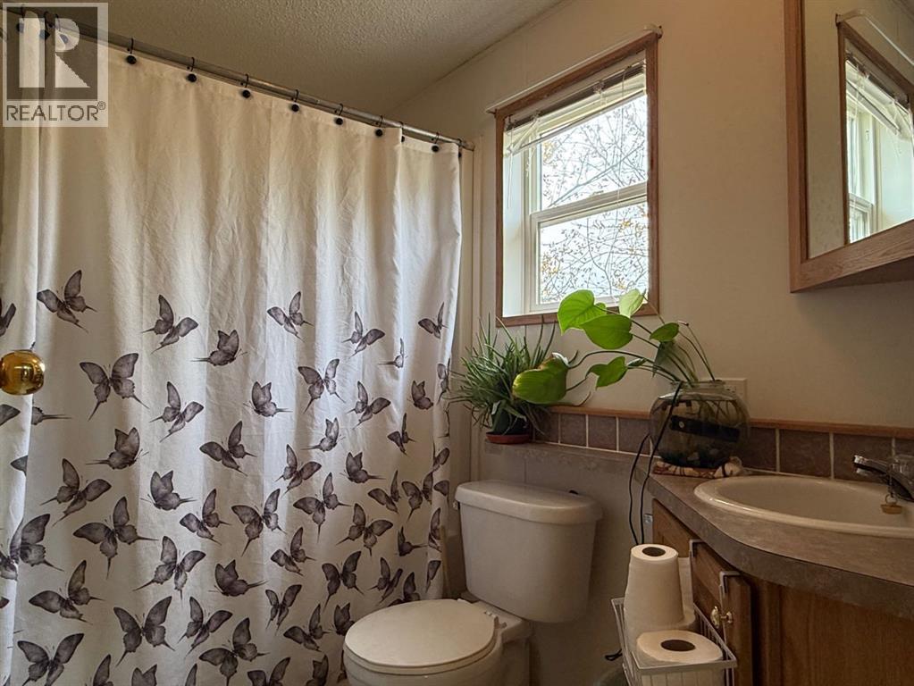 31040a Twp Rd 524, Rural Vermilion River, Alberta  T0B 2X0 - Photo 21 - A2350272