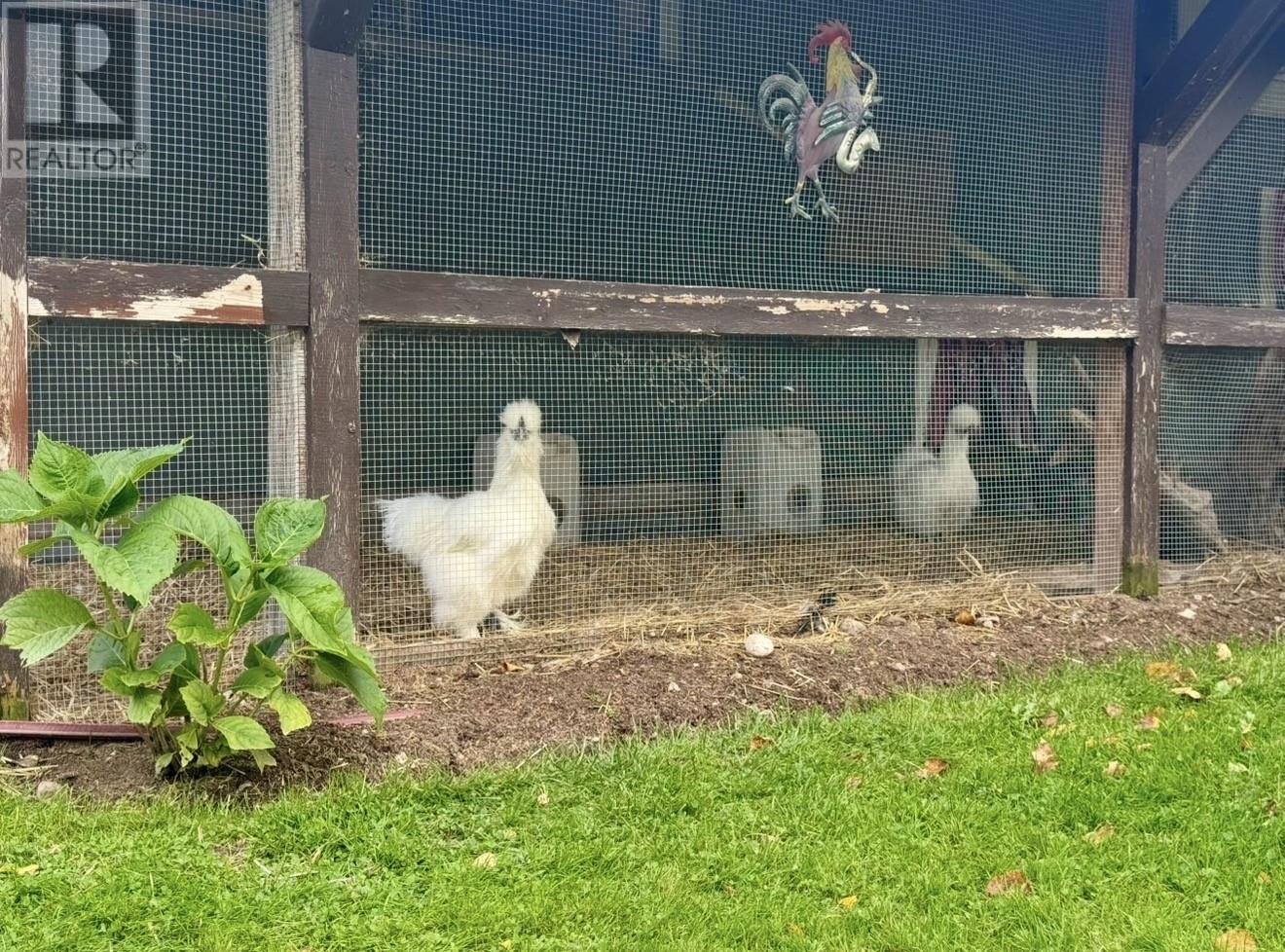 24 Farm Road, Howley — photo 15