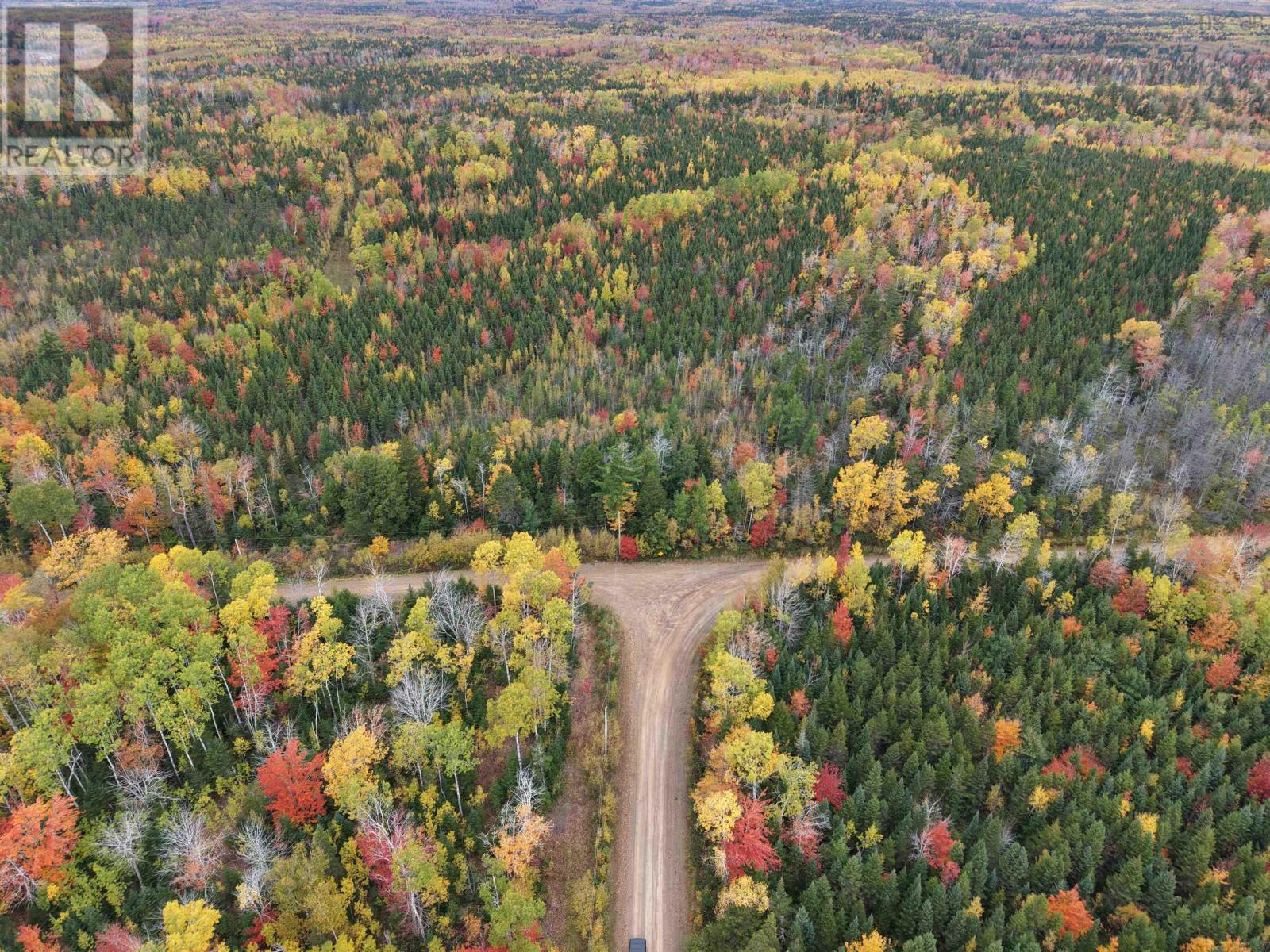 100 Acres Mitchell Swan Road, Millbrook, Nova Scotia