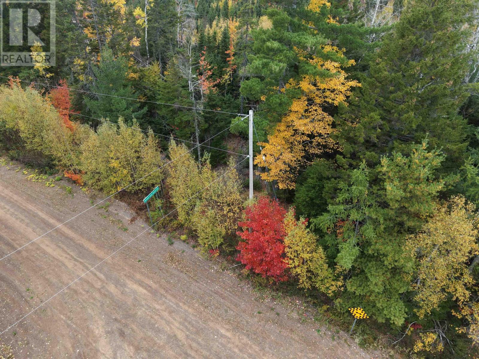 100 Acres Mitchell Swan Road, Millbrook, Nova Scotia  B0K 1V0 - Photo 6 - 202625767