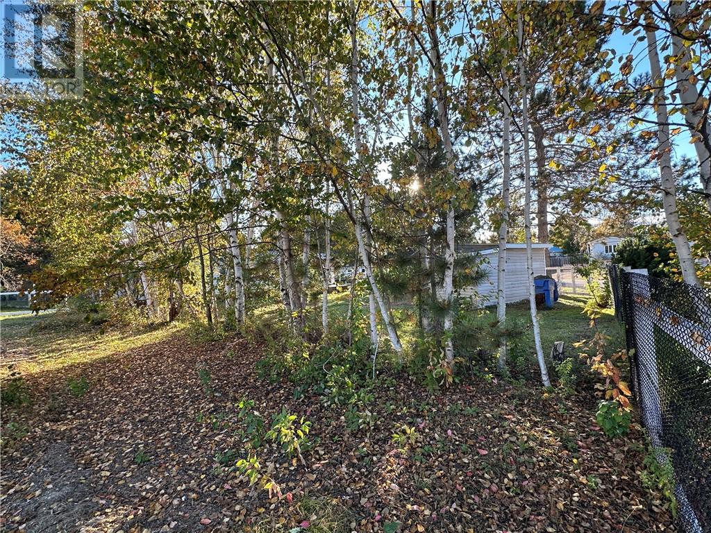 110 Juliette Drive, Greater Sudbury, Ontario  P3P 1H6 - Photo 32 - 2130925