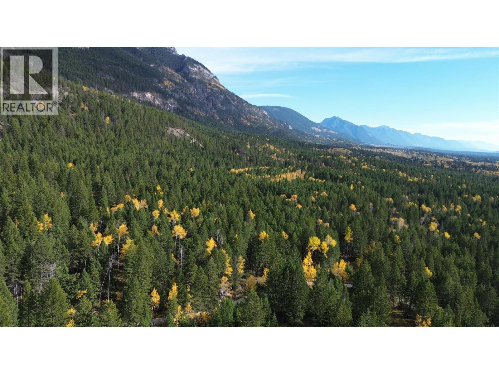 2660 95 Highway, Brisco, British Columbia  V0A 1B0 - Photo 36 - 10403277
