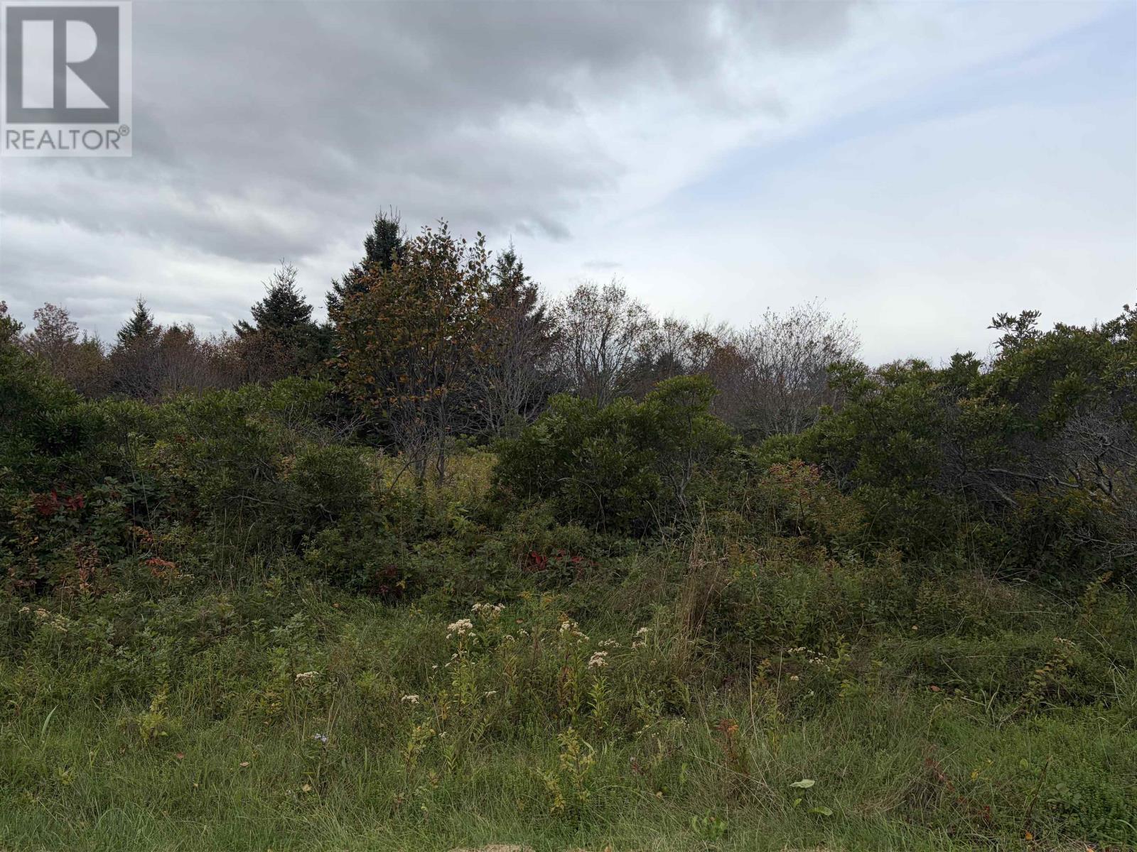 Lot Mackinnon Point Road, Pisquid, Prince Edward Island  C0A 1T0 - Photo 6 - 202625813
