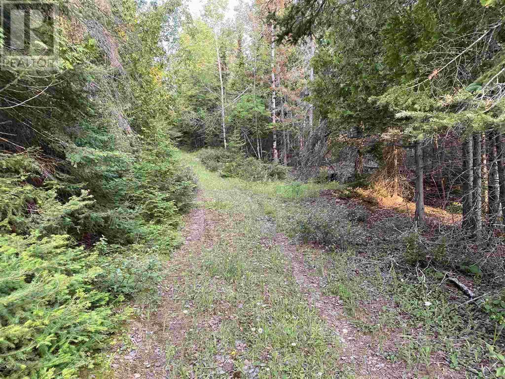 Hamilton Drive/ X Line, St. Joseph Island, Ontario P0R 1G0 - Photo 2 - SM262326