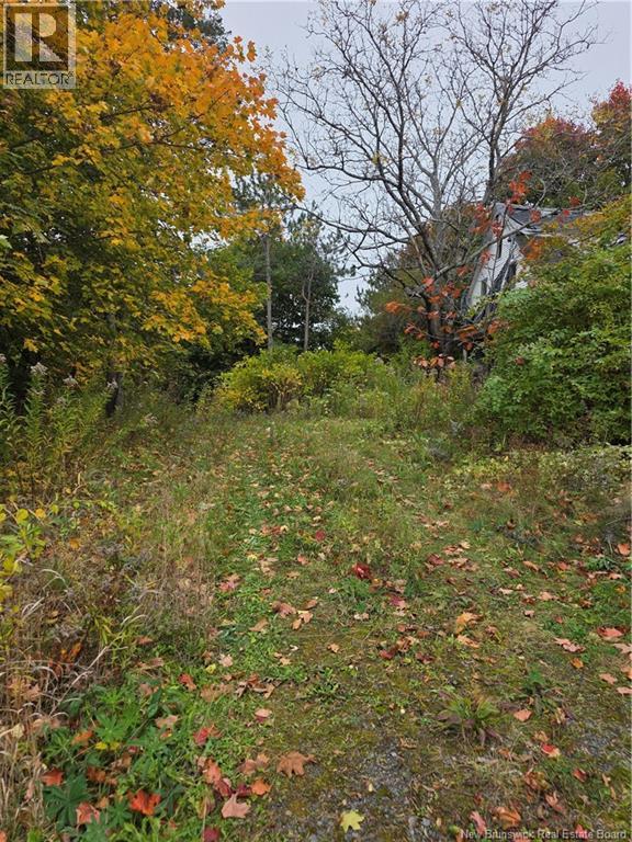 <h3>$160,000</h3><p>19 Carlisle Road, Fredericton, New Brunswick</p>