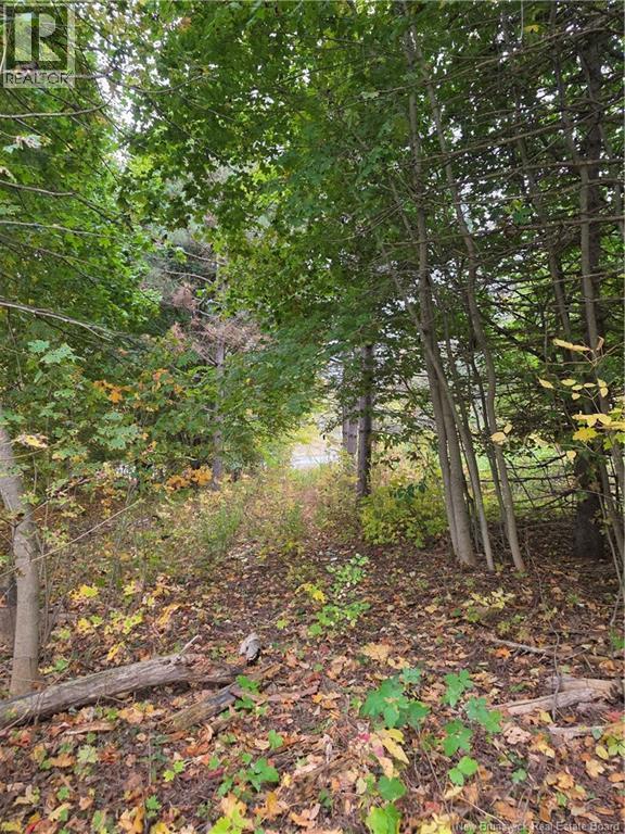 19 Carlisle Road, Fredericton, New Brunswick E3A 7M3 - Photo 2 - NB149652