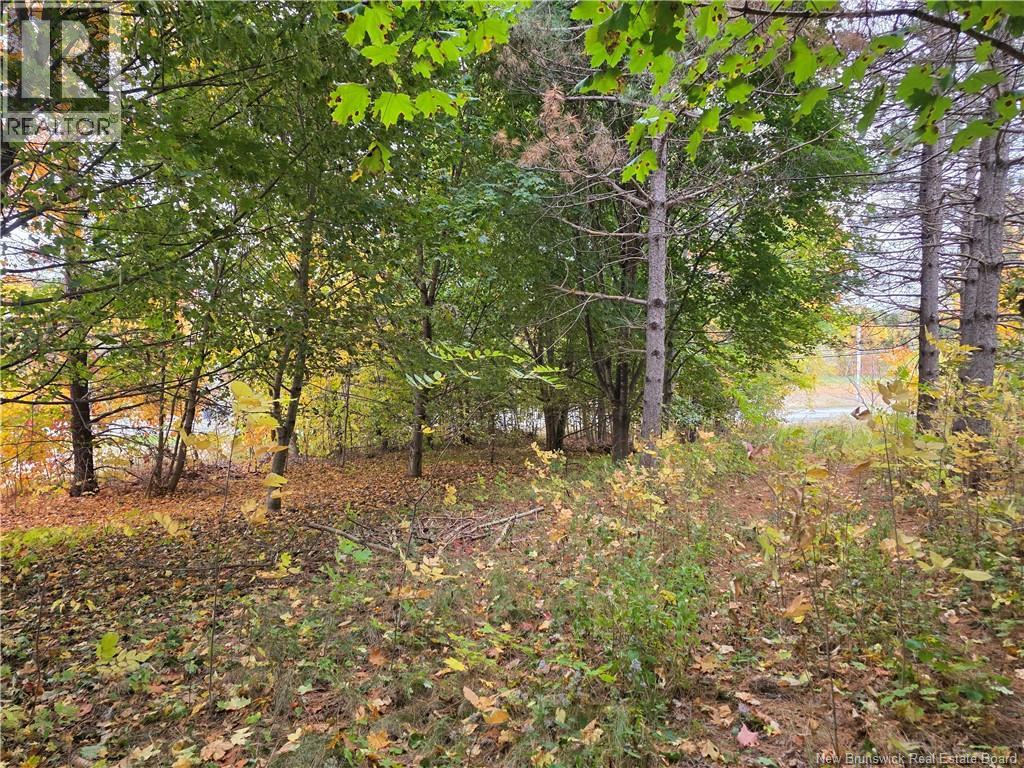 19 Carlisle Road, Fredericton, New Brunswick E3A 7M3 - Photo 3 - NB149652